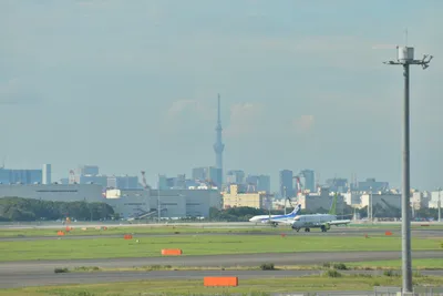 DSC_4063 (Large).JPG